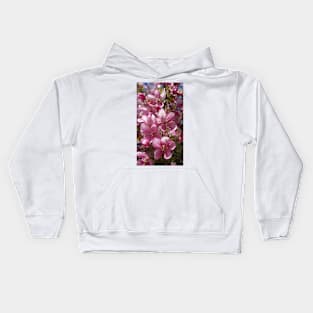 Pink Apple Blossoms in Spring Kids Hoodie